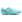 Nike Tiempo Legend 10 Pro FG